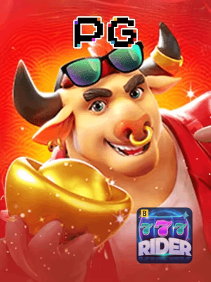 RIDER777 cadastro — tela de formulário no app oficial
