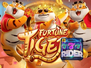 Guia install APK RIDER777 BR