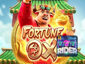 RIDER777 login — painel de entrada no app oficial